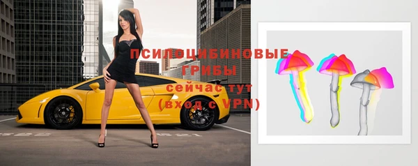 дмт Алексеевка