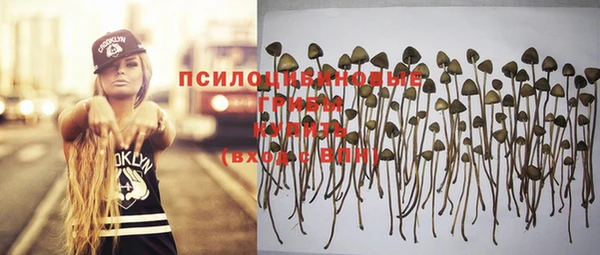 дмт Алексеевка