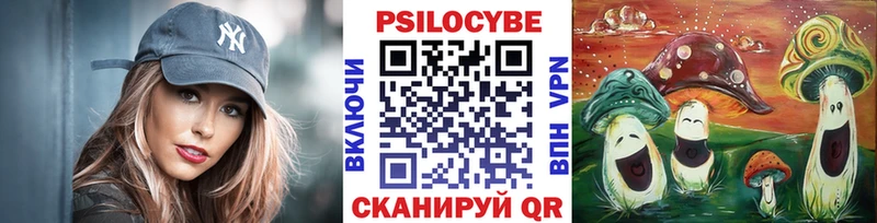 Галлюциногенные грибы Psilocybe  Брянск 